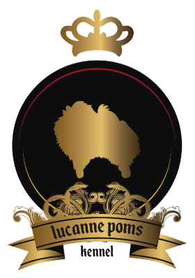 Lucanne Poms